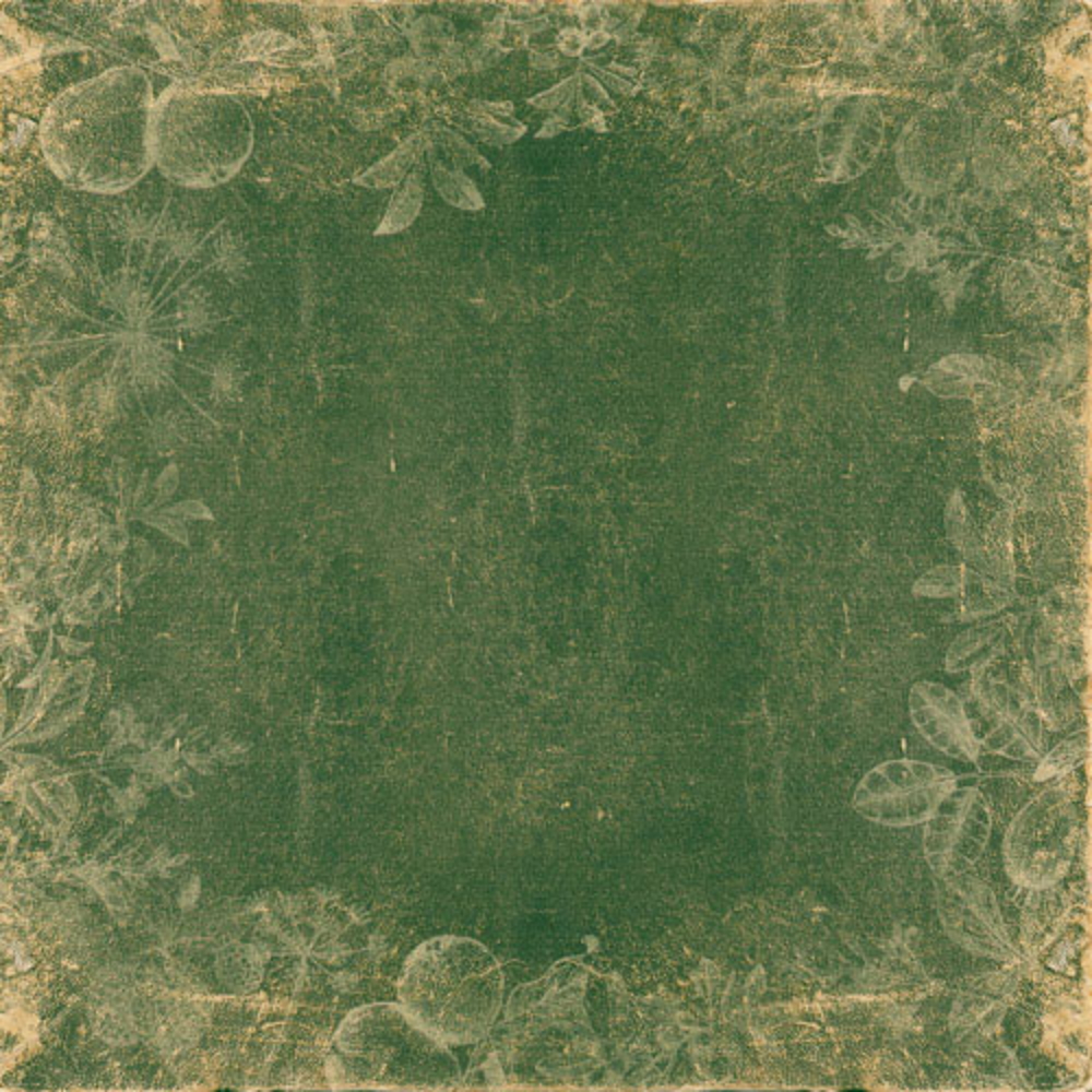 Skrapbukinga papīra kolekcija "Summer Botanical Diary", 20x20cm, 200g/ m2, 10 divpusējas loksnes