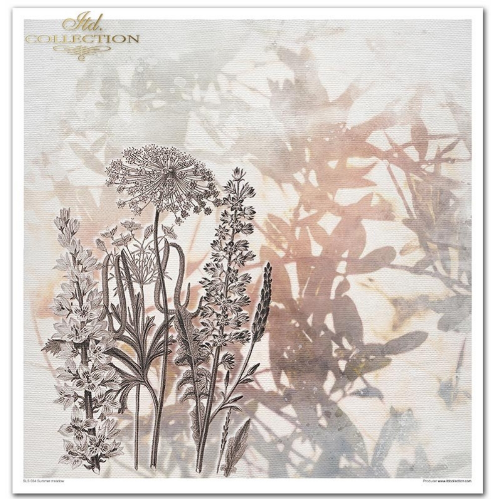 Skrapbukinga papīra kolekcija ''Summer meadow'', 31x32 cm ar baltu rāmīti, grafika 30x30.7 cm, 200 g/ m2, 10 vienpusējas loksnes + bonusa loksne