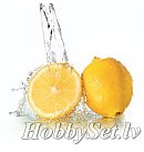SAPOLINA fragrance oil for soap making, 10ml, lemon
