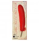 Goose feather with nib DP256BR, 28.5 cm, 10 different colors