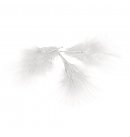 Decorative feathers, 8cm, 10pcs, white