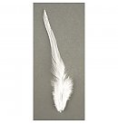 Декоративные перья, 10-15см, 2г, white